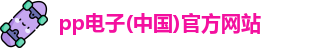 pp电子